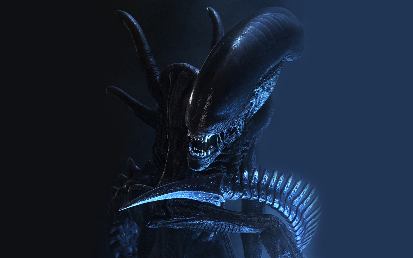 xenomorph.jpg