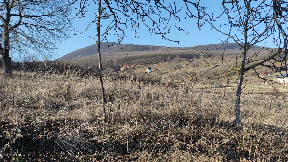 A nagy gazolási kisokos és a talajtakarási módok