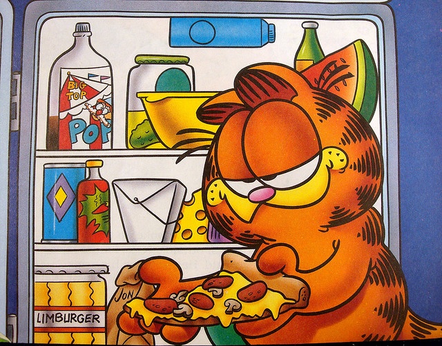 garf1.jpg