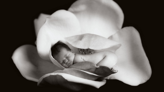 anne_geddes.jpeg