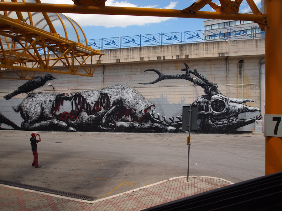 roa-street-art-campobasso.jpg