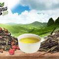 Tisztító és Méregtelenítő Kúra - TEA Keverékek (csalán tea)