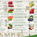 Szezonális Zöldség és Gyümölcs Naptár