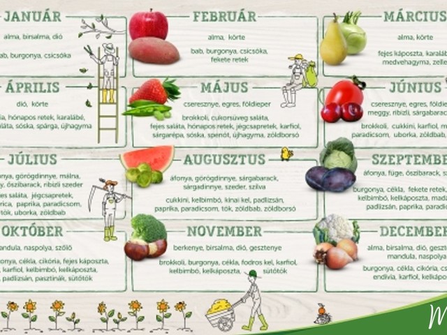 Szezonális Zöldség és Gyümölcs Naptár