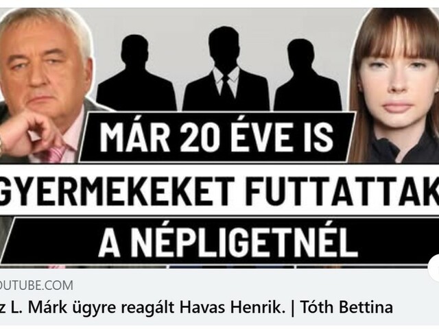 PDF hálózat (Havas Henrik és Tóth Bettina riport)