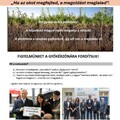 Mi a probléma "gyökere"?