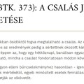 CSALÁS Btk 373 - a devizahitel