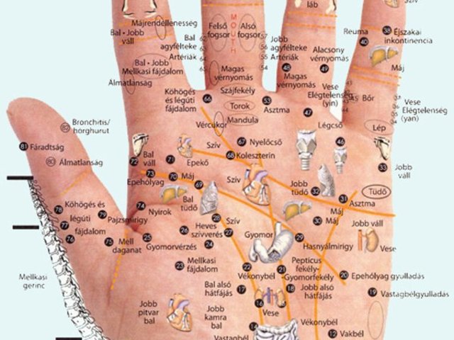 Kézfej - Meridián csatornák
