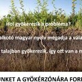„Ha az okot megfejted, a megoldást megleled”