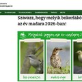 Év madara szavazás júl 25-ig