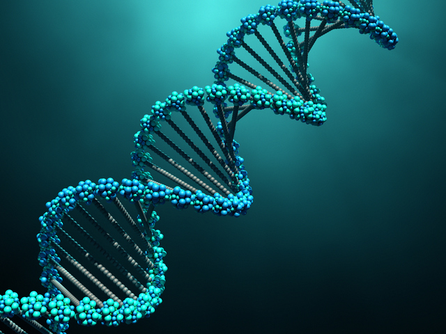 Regenerációs elemek az emberi DNS génekben