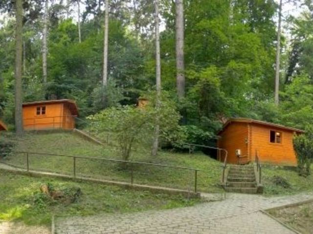 Bakonyi Kalandtábor  - Sobri Jóska kalandpark (Kiselőd) - 2023