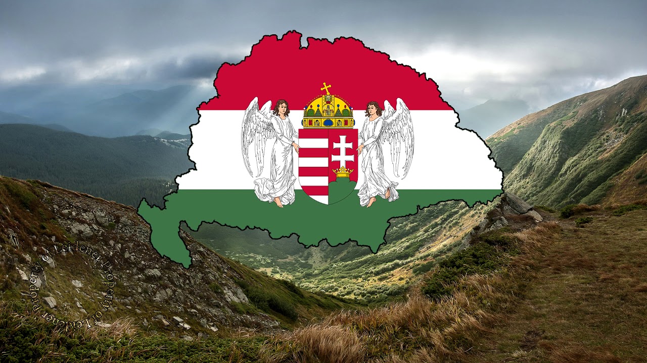 cimer_tajjal.jpg