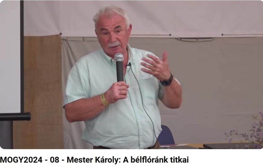 mester_karoly_nagy_kep_belflorank_titkai_eloadas.jpg