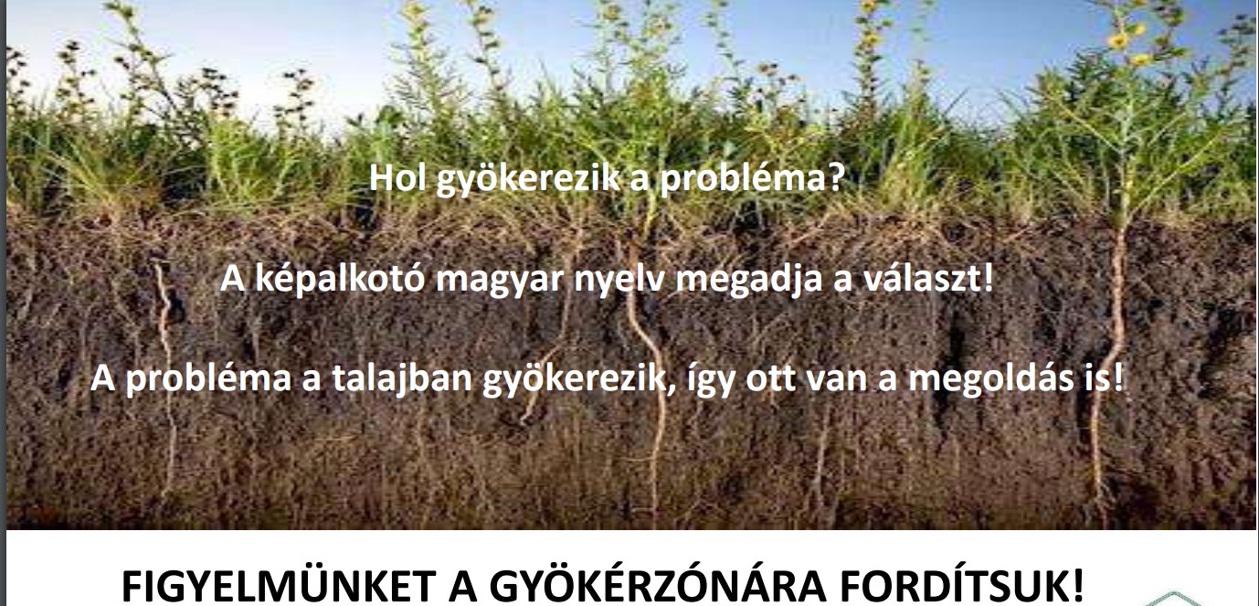 problema_gyokere_talaj_humusz.jpg