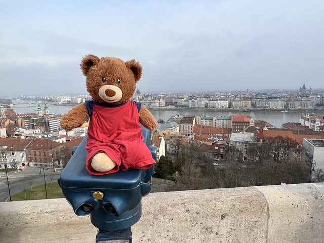 Did you know how Timmy the world-traveling teddy bear came to Hungary?