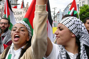 Olvasóink az önálló Palesztina mellett