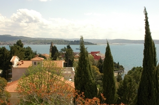 Mediterrán anziksz