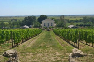 Tokaj, mutasd meg, mit tudsz!