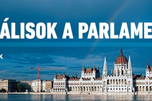 Liberális(ok) az Európai Parlamentben! – Fodor Gábor, a megoldás