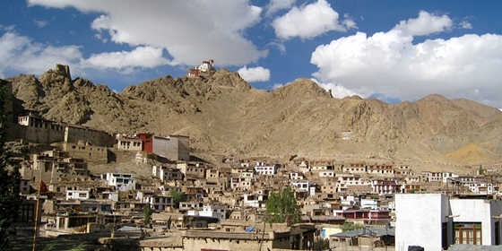 leh2.jpg