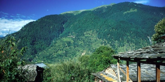 manali3.jpg