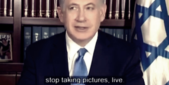 bibi.jpg