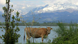 Jegyzetek a Balkánról III. – Shkodra