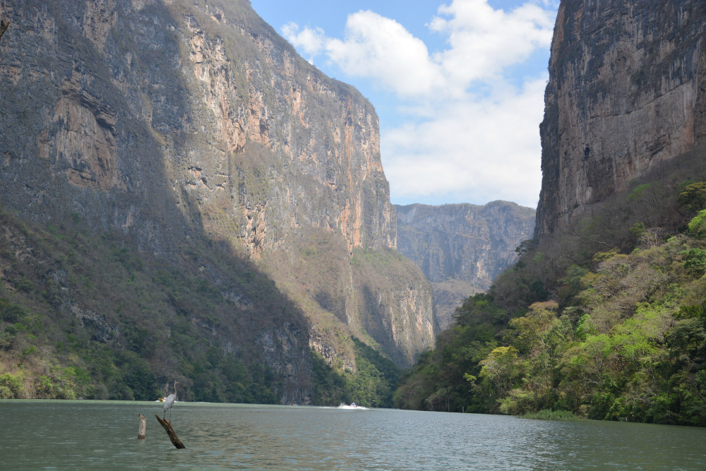 sumidero3.jpg