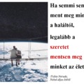 Megmentő