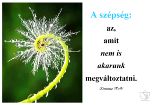 Tökéletesség