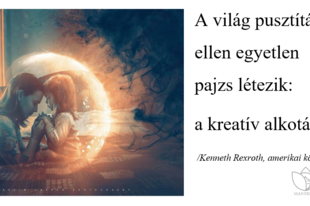 Egyetlen pajzs
