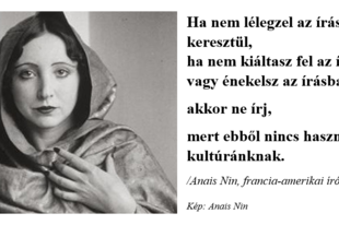 Kultúra