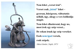Meghallani és leírni…