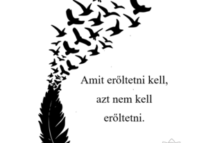 A legkisebb ellenállás irányában