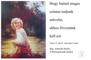 Boldog amatőrök