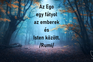 Ami nem hagy nyugodni