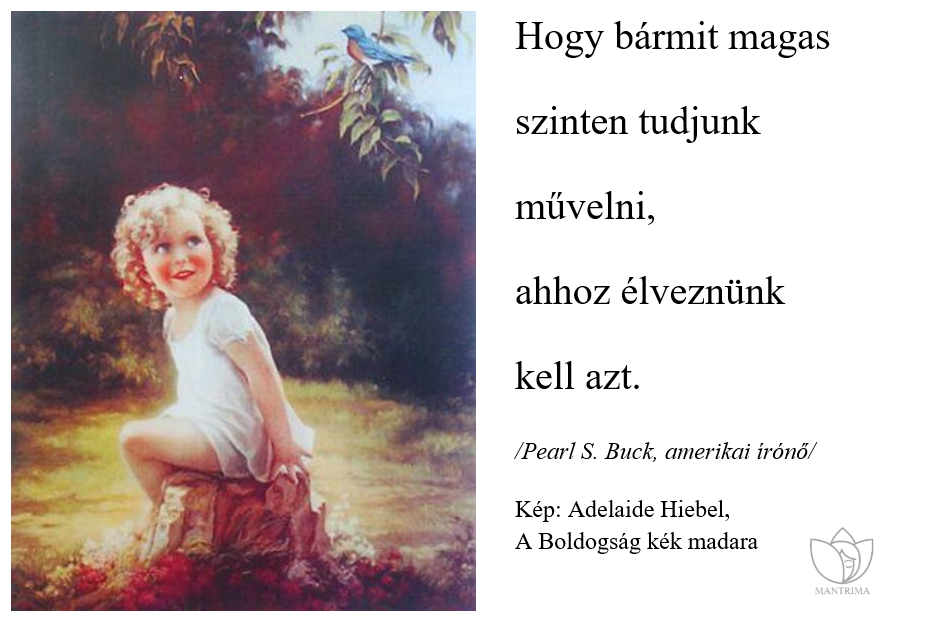 amator_kep.PNG