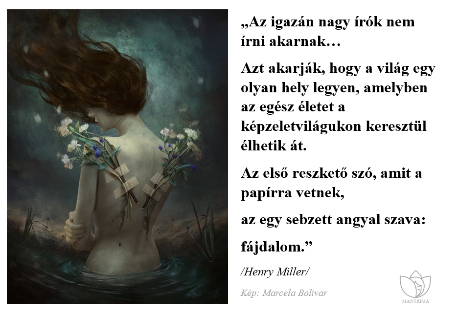 sebzett_angyal.PNG
