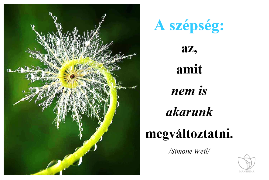 szepseg.PNG