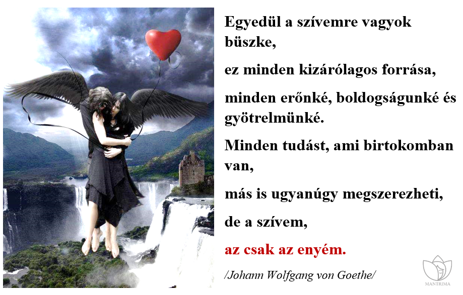 sziv_goethe.PNG