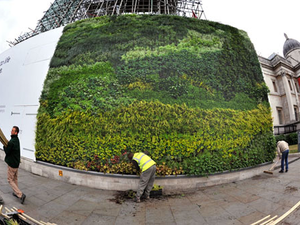 Van Gogh festmény 8000 növényből