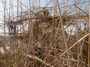 Az élet olyan, mint egy bambuszlabirintus