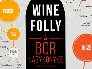 Hogyan értékeljük a jó borokat? Wine Folly / A bor nagykönyve