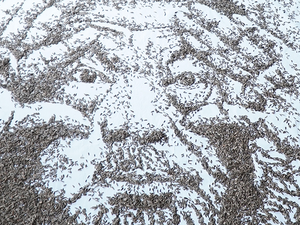 Ai Weiwei 20 ezer napraforgómagból