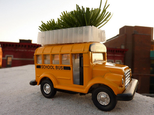 Növények a busz tetején - Bus Roots by Marco Castro Cosio