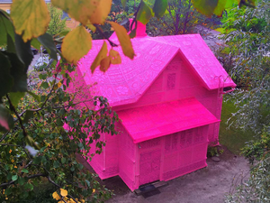 Rózsaszínű házzal a lelki épségért