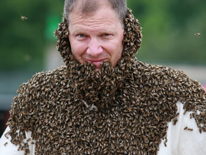 A méhszakállú herceg, Szabó Tibor