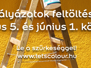 Elindult a 2014-es Let’s Colour pályázat!