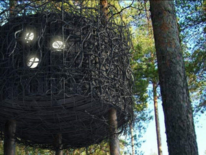 Pihenés egy fa tetején – Treehouse